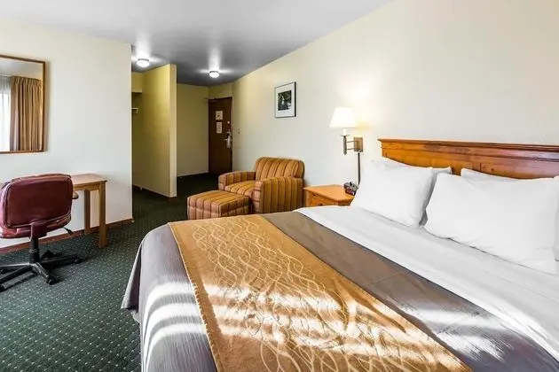 Standard Oda, 1 En Büyük (King) Boy Yatak, Sigara İçilmez