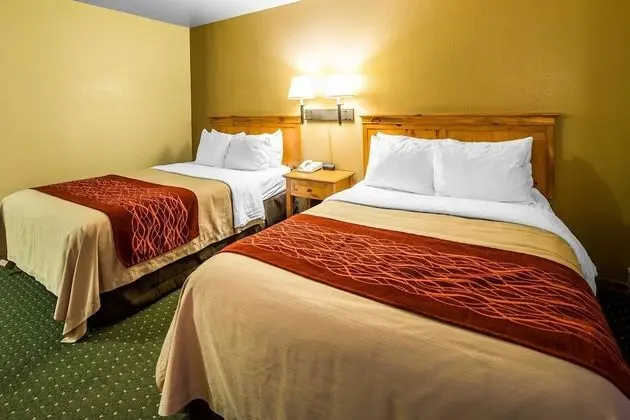 Standard Oda, 2 Çift Kişilik Yatak, Sigara İçilmez