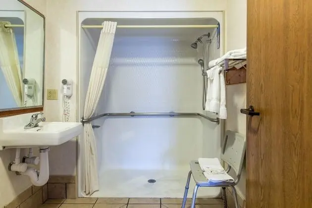 Oda, 1 En Büyük (King) Boy Yatak, Engellilere Uygun, Sigara İçilmez (Roll In Shower)