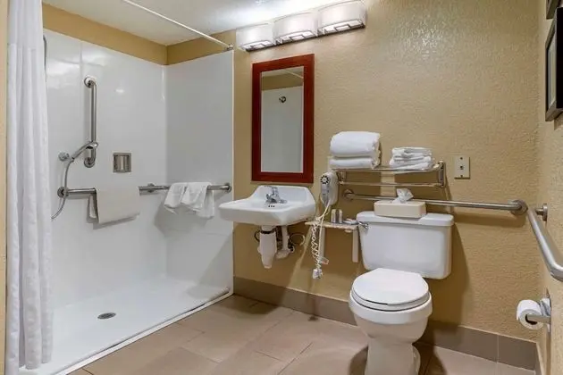 Oda, 1 En Büyük (King) Boy Yatak, Engellilere Uygun, Sigara İçilmez (Mobility, Roll-In Shower)
