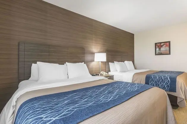 Deluxe Room with 2 Queen Beds, Upper Floor