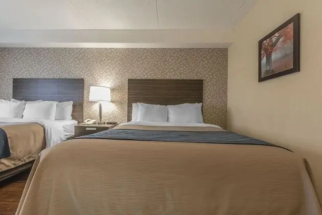 Deluxe Room with 2 Queen Beds, Upper Floor