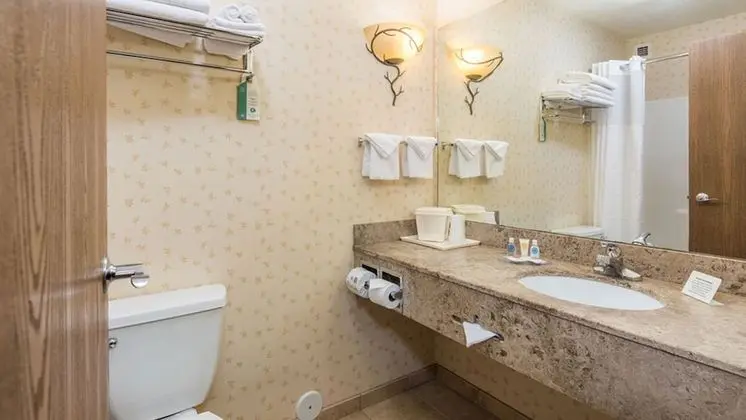 Oda, 2 Büyük (Queen) Boy Yatak, Buzdolabı ve Mikrodalga