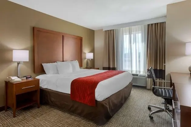 Oda, 1 En Büyük (King) Boy Yatak, Engellilere Uygun, Sigara İçilmez