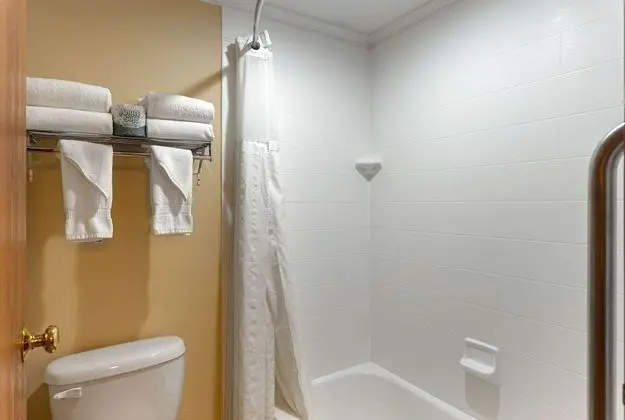 Oda, 1 En Büyük (King) Boy Yatak, Sigara İçilmez (2 person Jetted Tub)