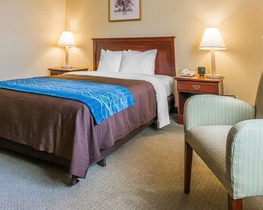 Oda, 1 Büyük (Queen) Boy Yatak, Engellilere Uygun, Sigara İçilmez