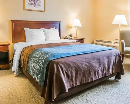 Oda, 1 Büyük (Queen) Boy Yatak, Engellilere Uygun, Sigara İçilmez