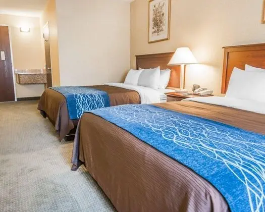 Oda, 2 Büyük (Queen) Boy Yatak, Engellilere Uygun, Sigara İçilmez