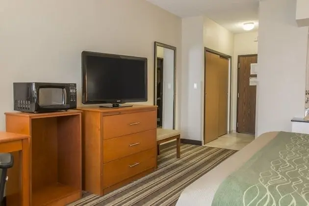 Deluxe Oda, 1 En Büyük (King) Boy Yatak ve Çekyat, Sigara İçilmez (2 Person Sofa bed, Shower only)