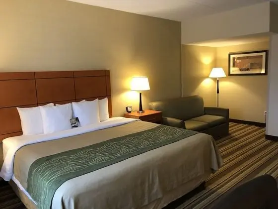 Deluxe Oda, 1 En Büyük (King) Boy Yatak ve Çekyat, Sigara İçilmez (2 Person Sofa bed, Shower only)