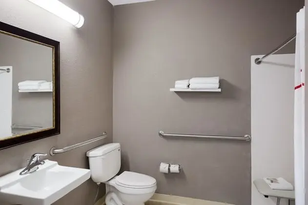 Superior Oda, 1 En Büyük (King) Boy Yatak, Engellilere Uygun, Sigara İçilmez (Roll-In Shower)
