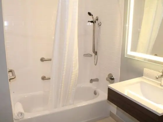 Oda, 1 Büyük (Queen) Boy Yatak, Engellilere Uygun, Sigara İçilmez (Roll-in Shower)