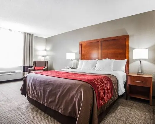 Standard Oda, 1 En Büyük (King) Boy Yatak, Sigara İçilmez