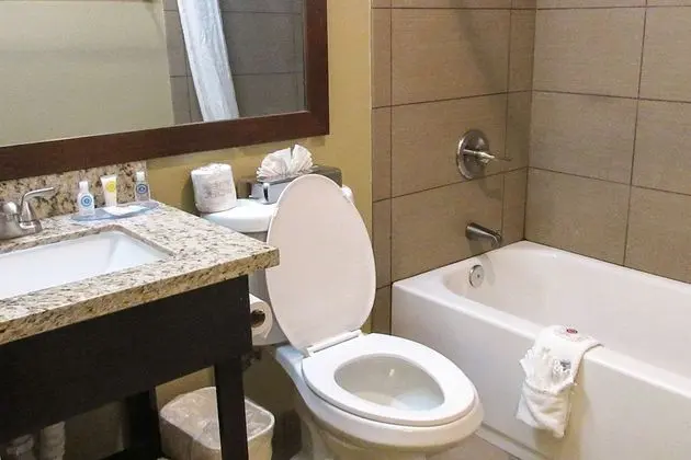 Standard Oda, 1 En Büyük (King) Boy Yatak, Sigara İçilmez