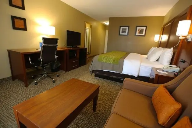 Standard Oda, 1 En Büyük (King) Boy Yatak ve Çekyat, Sigara İçilmez (1 Person Sofa bed, Top Floor)