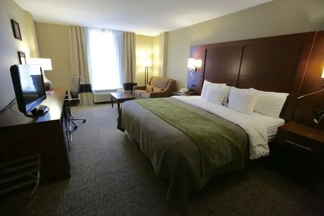 Standard Oda, 1 En Büyük (King) Boy Yatak ve Çekyat, Sigara İçilmez (1 Person Sofa bed, Top Floor)