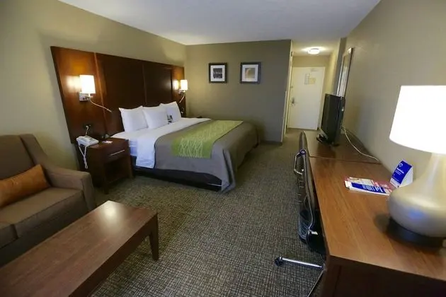 Standard Oda, 1 En Büyük (King) Boy Yatak ve Çekyat, Sigara İçilmez (1 Person Sofa bed, Top Floor)