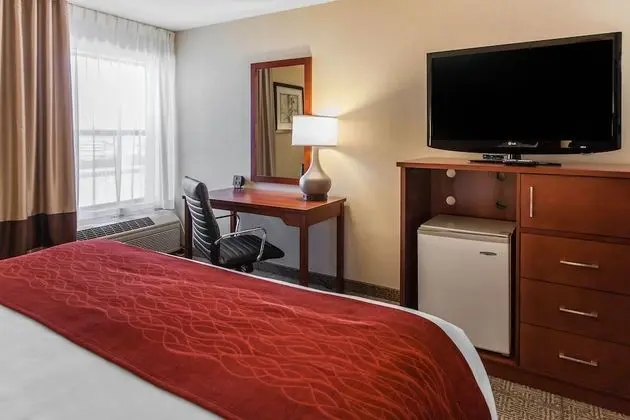 Standard Oda, 1 En Büyük (King) Boy Yatak, Sigara İçilmez