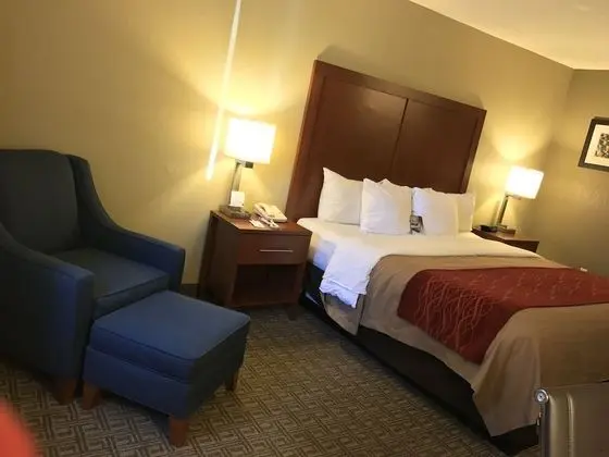 Standard Oda, 1 En Büyük (King) Boy Yatak, Sigara İçilmez