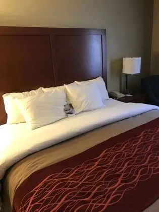 Standard Oda, 1 En Büyük (King) Boy Yatak, Sigara İçilmez