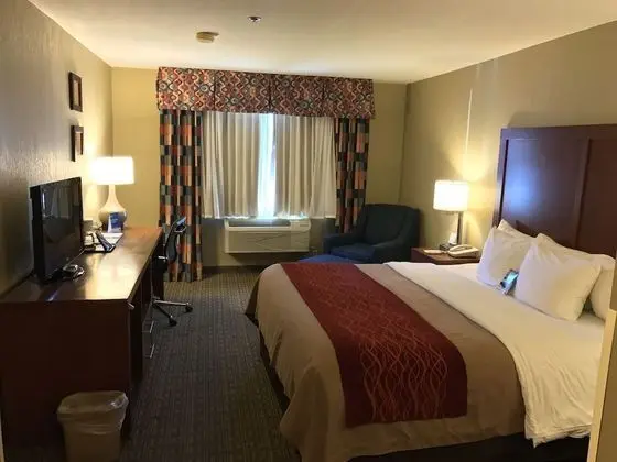 Standard Oda, 1 En Büyük (King) Boy Yatak, Sigara İçilmez