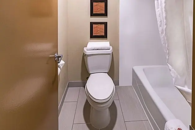 Standard Oda, 1 En Büyük (King) Boy Yatak, Sigara İçilmez, Buzdolabı ve Mikrodalga