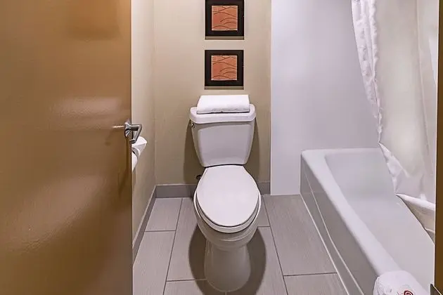 Standard Oda, 2 Çift Kişilik Yatak, Sigara İçilmez, Buzdolabı ve Mikrodalga (Single Use)