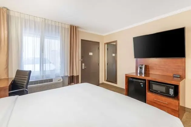Standard Oda, 1 En Büyük (King) Boy Yatak, Engellilere Uygun, Sigara İçilmez