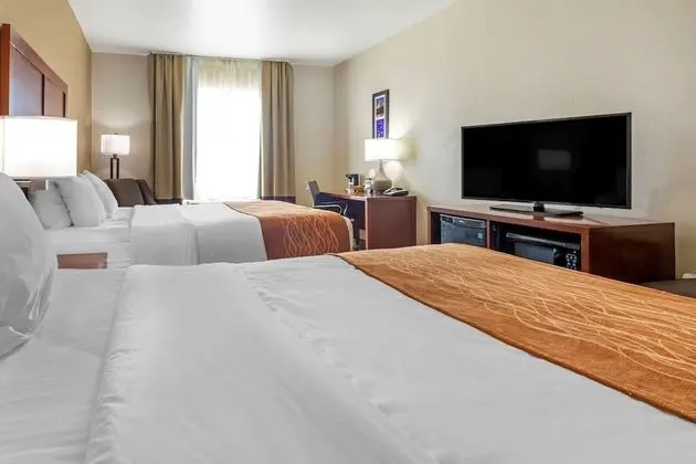 Oda, 2 Büyük (Queen) Boy Yatak, Sigara İçilmez (Pet Friendly)