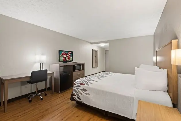 Deluxe Oda, 1 En Büyük (King) Boy Yatak, Engellilere Uygun, Sigara İçilmez (Roll-In Shower)