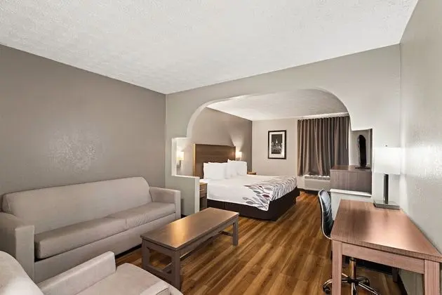 Süit, 1 En Büyük (King) Boy Yatak, Sigara İçilmez (2 Rooms)