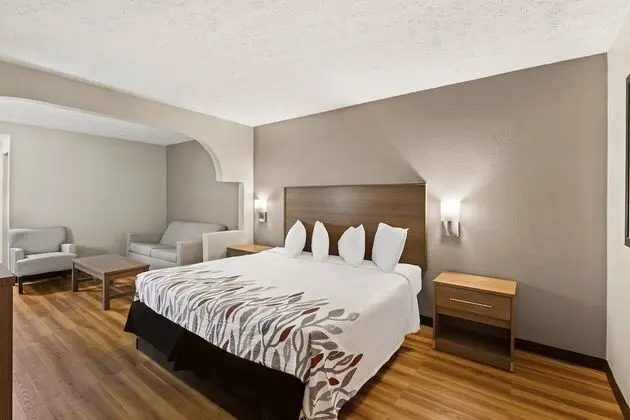 Süit, 1 En Büyük (King) Boy Yatak, Sigara İçilmez (2 Rooms)