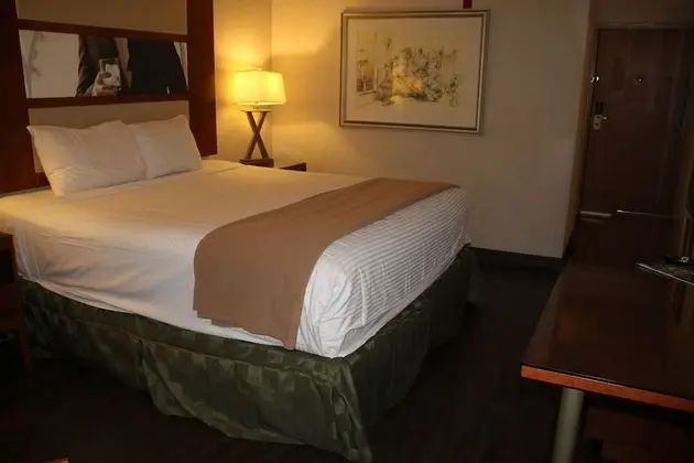 Deluxe Süit (1 King Bed Non Smoking)