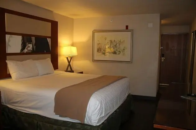 Deluxe Süit (1 King Bed Non Smoking)