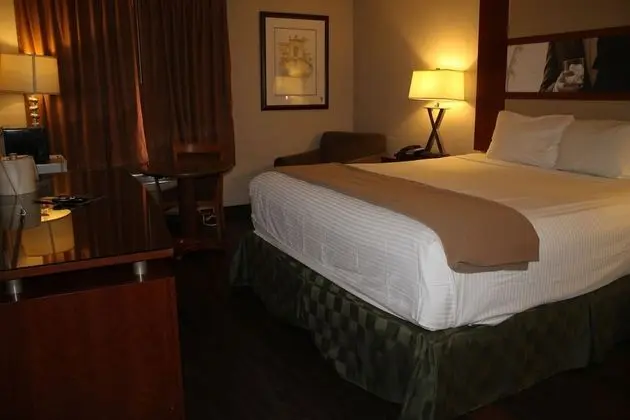Deluxe Süit (1 King Bed Non Smoking)