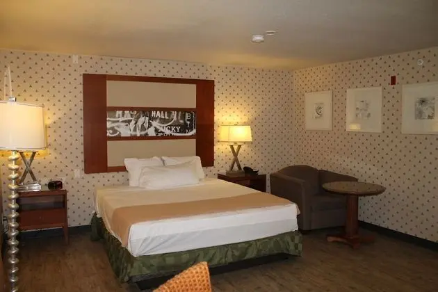 Deluxe Süit (1 King Bed Non Smoking)