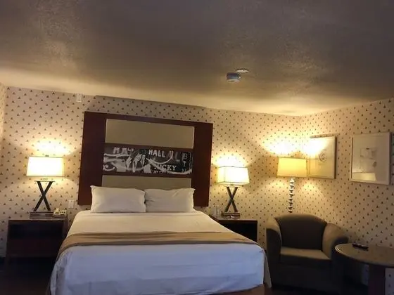 Deluxe Süit (1 King Bed Non Smoking)