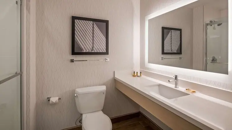 Standard Oda, 1 En Büyük (King) Boy Yatak, Sigara İçilmez, Buzdolabı ve Mikrodalga