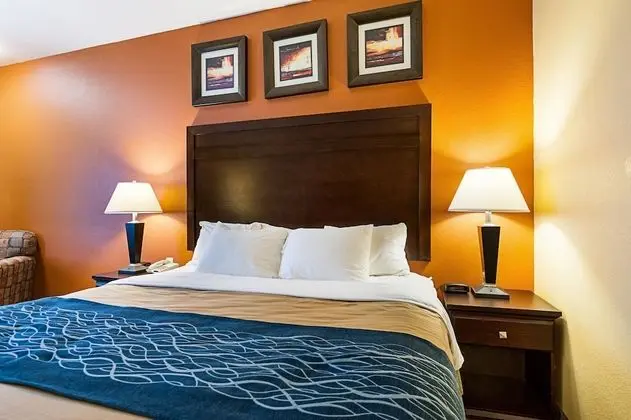 Standard Oda, 1 En Büyük (King) Boy Yatak, Sigara İçilmez