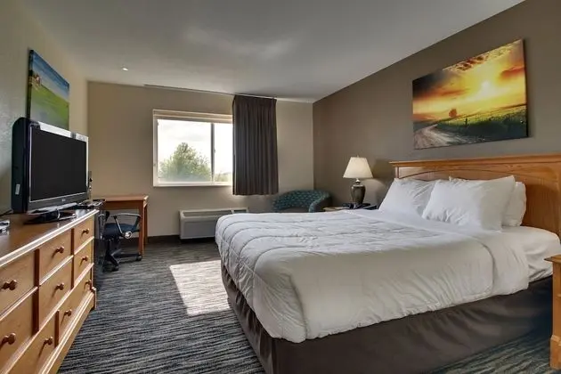 Oda, 1 Büyük (Queen) Boy Yatak, Engellilere Uygun (Handicapped Queen)