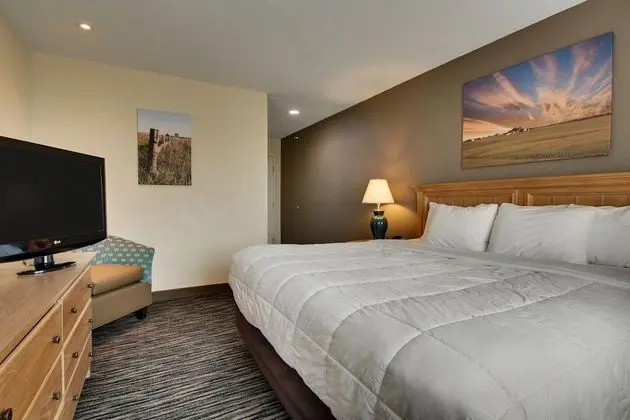 Süit, 1 En Büyük (King) Boy Yatak