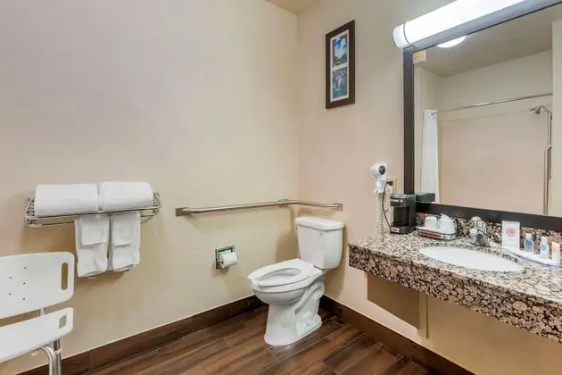 Standard Oda, 1 Büyük (Queen) Boy Yatak, Engellilere Uygun, Sigara İçilmez (Bathtub)
