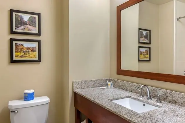 Oda, 1 En Büyük (King) Boy Yatak, Sigara İçilmez (Pet Friendly)