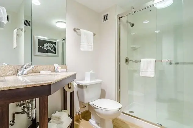 Standard Oda, 1 En Büyük (King) Boy Yatak, Sigara İçilmez (Shower)