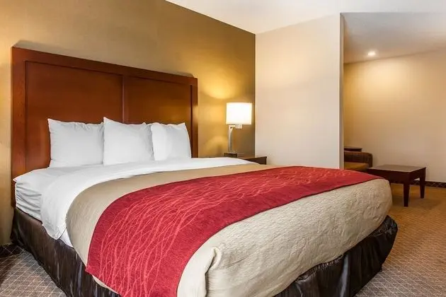 Standard Oda, 1 En Büyük (King) Boy Yatak, Sigara İçilmez