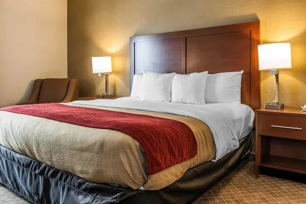 Standard Oda, 1 En Büyük (King) Boy Yatak, Sigara İçilmez