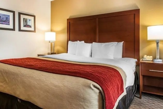 Standard Oda, 1 En Büyük (King) Boy Yatak, Sigara İçilmez