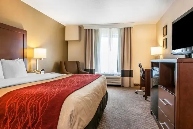 Standard Oda, 1 En Büyük (King) Boy Yatak, Sigara İçilmez