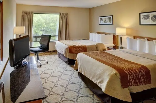 Standard Oda, 2 Çift Kişilik Yatak