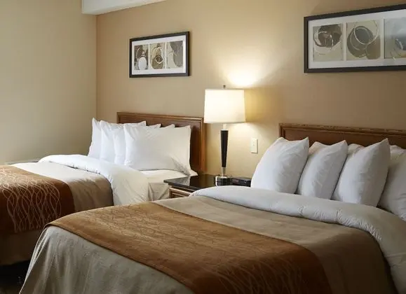 Standard Oda, 2 Çift Kişilik Yatak